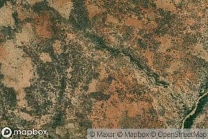 Mambo