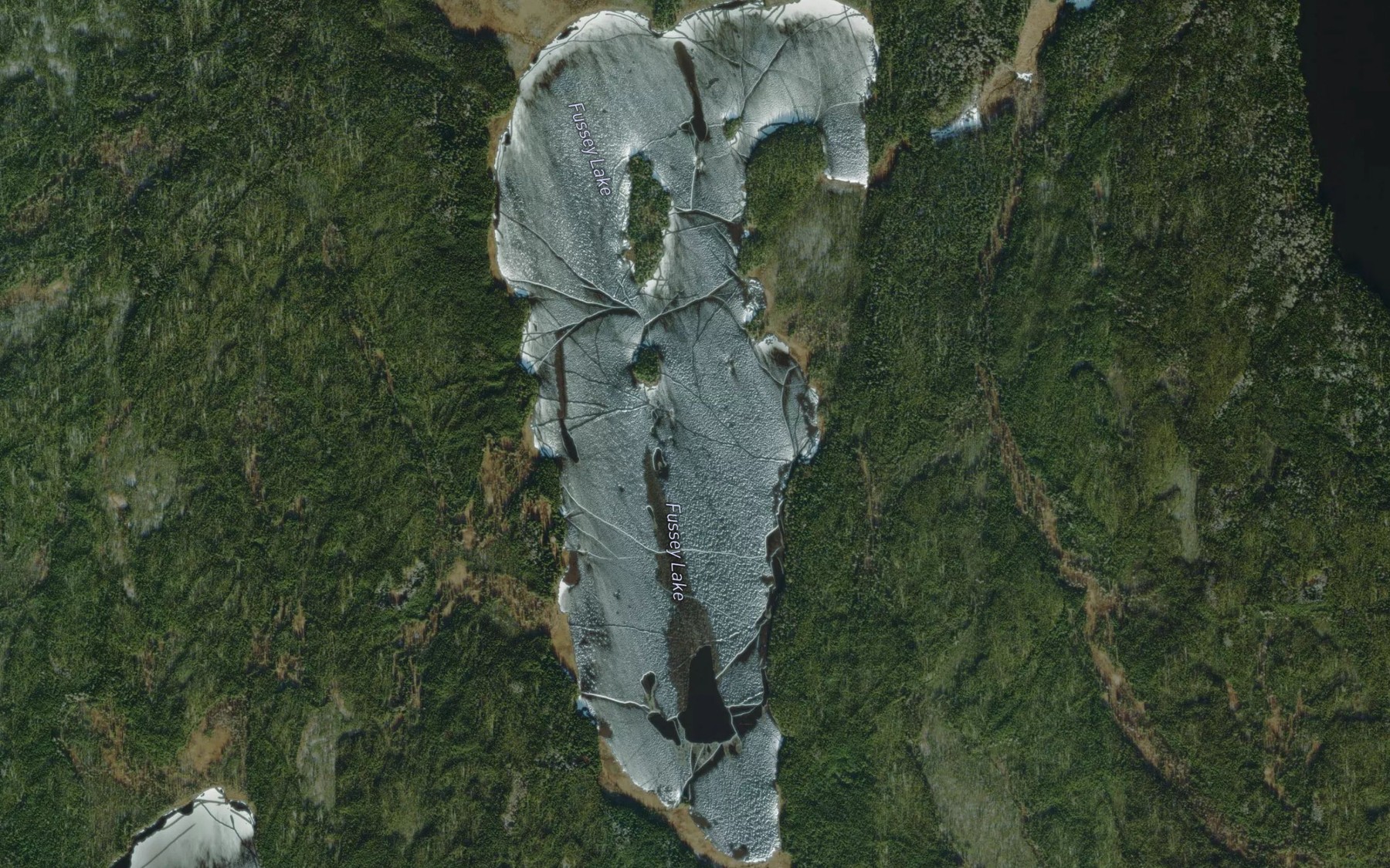 Satellite map of the Fussey Lake