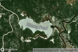 Cheney Pond