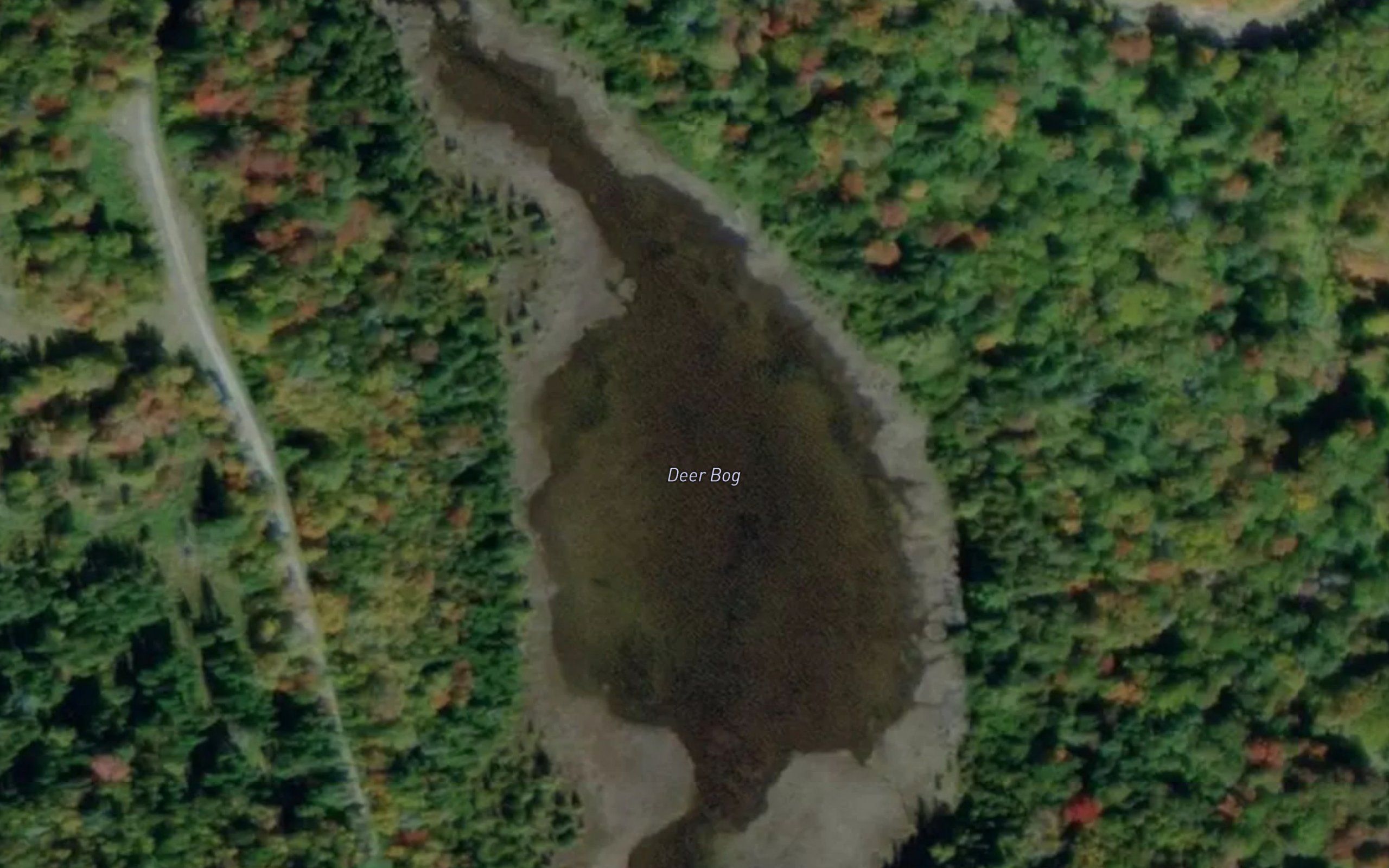 Deer Bog