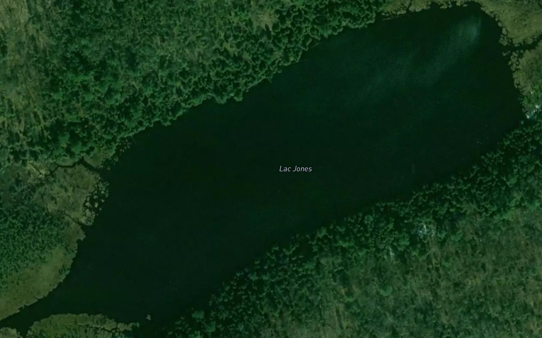 Satellite map of the Lac Jones