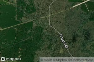 Pumpkinvine Creek