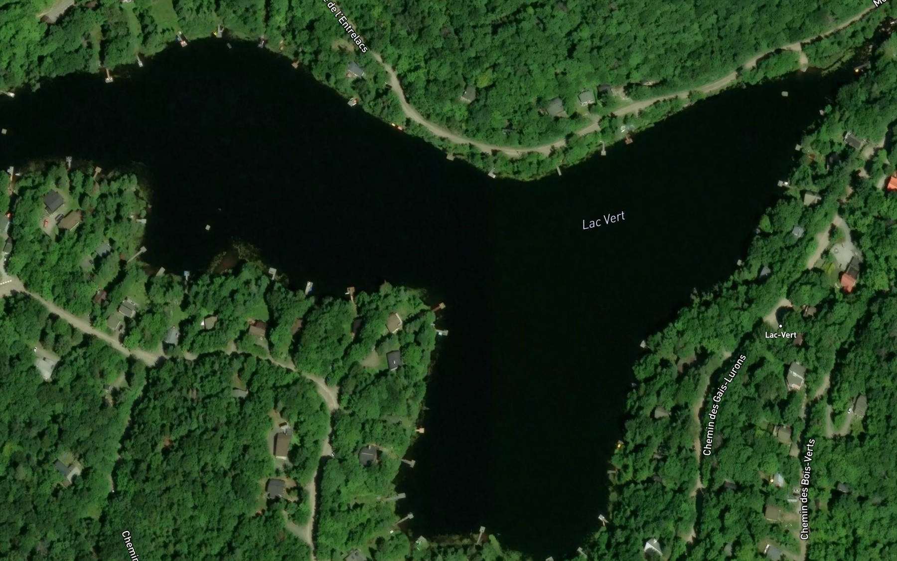 Satellite map of the Lac Vert