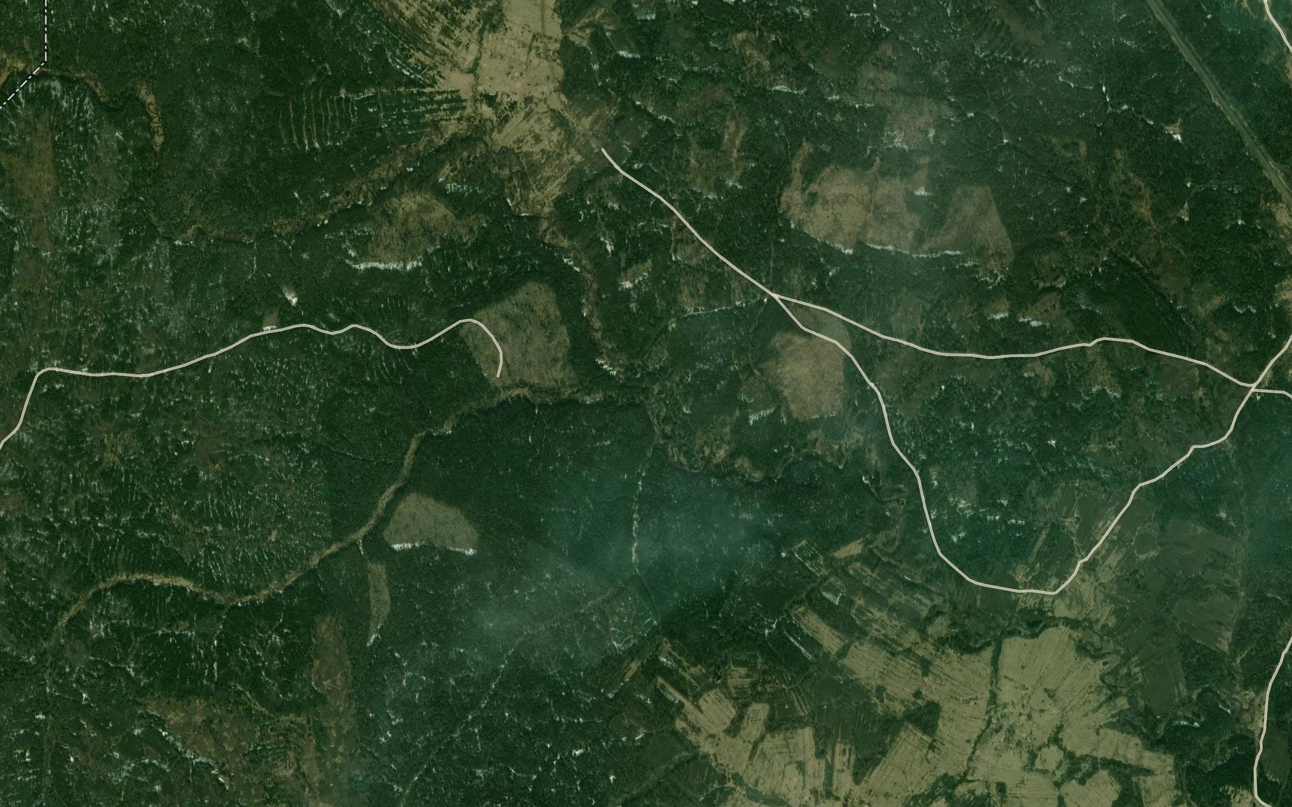 Medvedevka