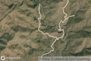 Yellow Jacket Spring