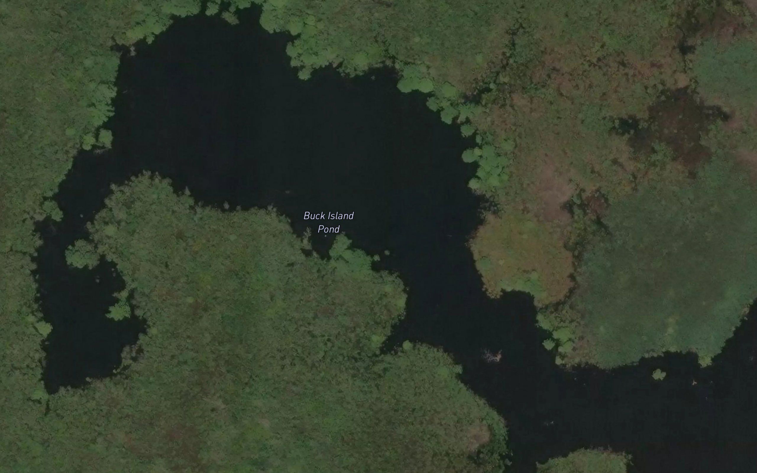 Buck Island Pond