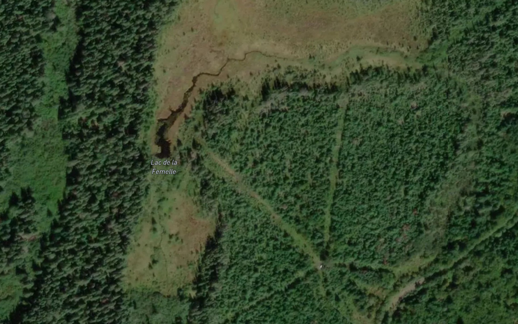 Satellite map of the Lac de la Femelle