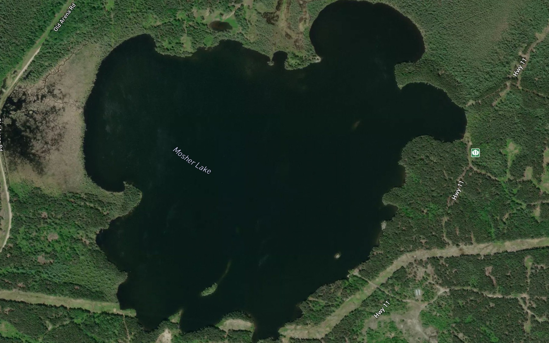 Satellite map of the Mosher Lake