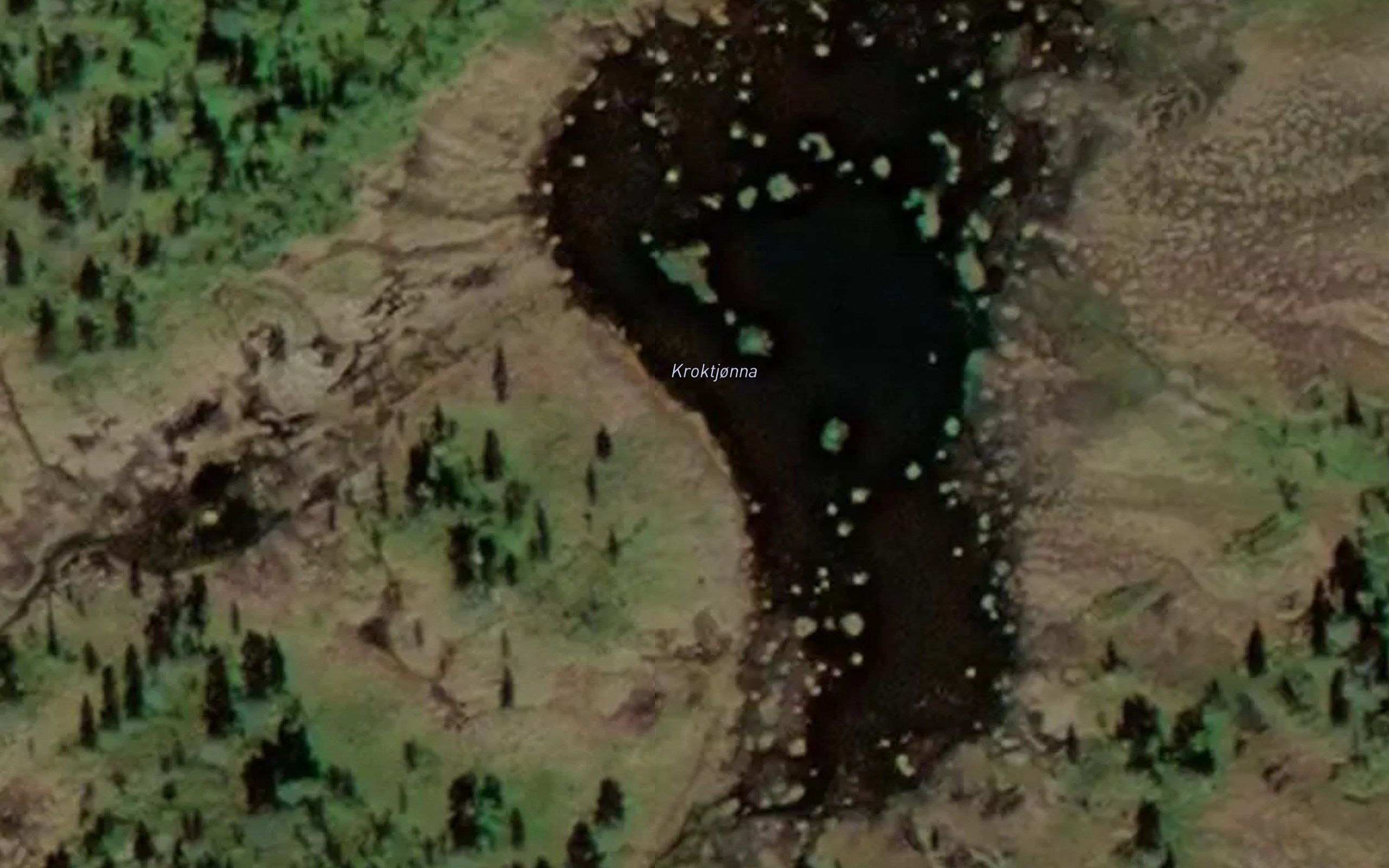 Kroktjorna
