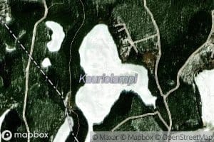 Kauriolampi
