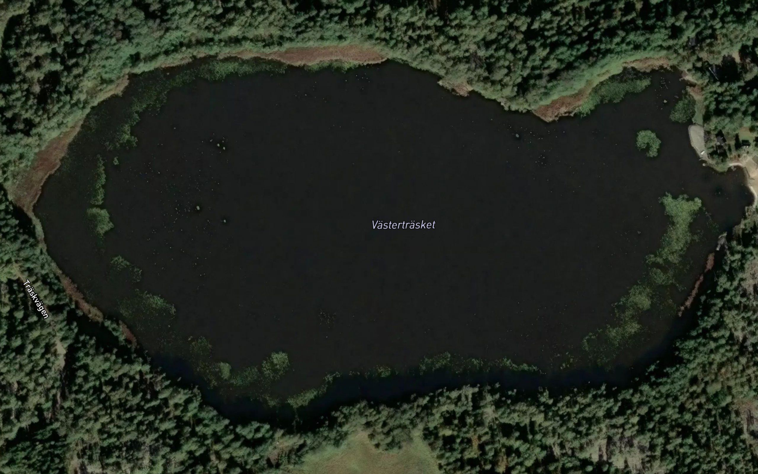 Vastertrasket