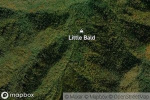 Maggot Spring Branch