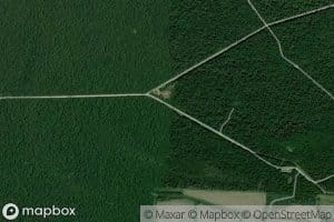 Bengal Slough