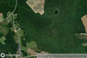 Mill Branch Swamp
