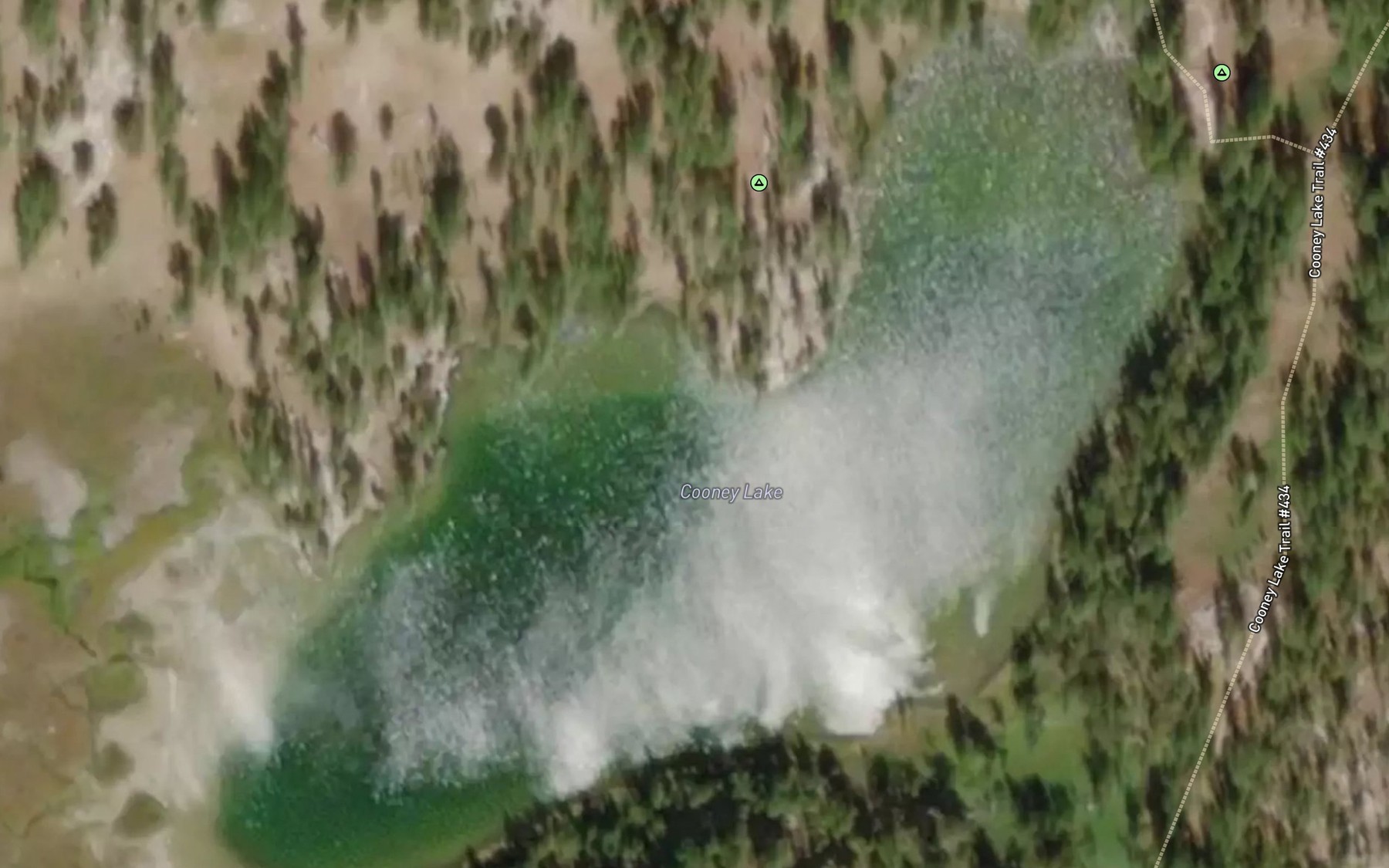Satellite map of the Cooney Lake