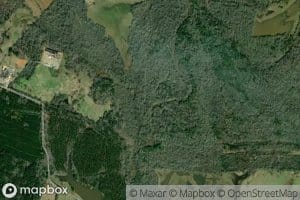 Amaladeros Creek