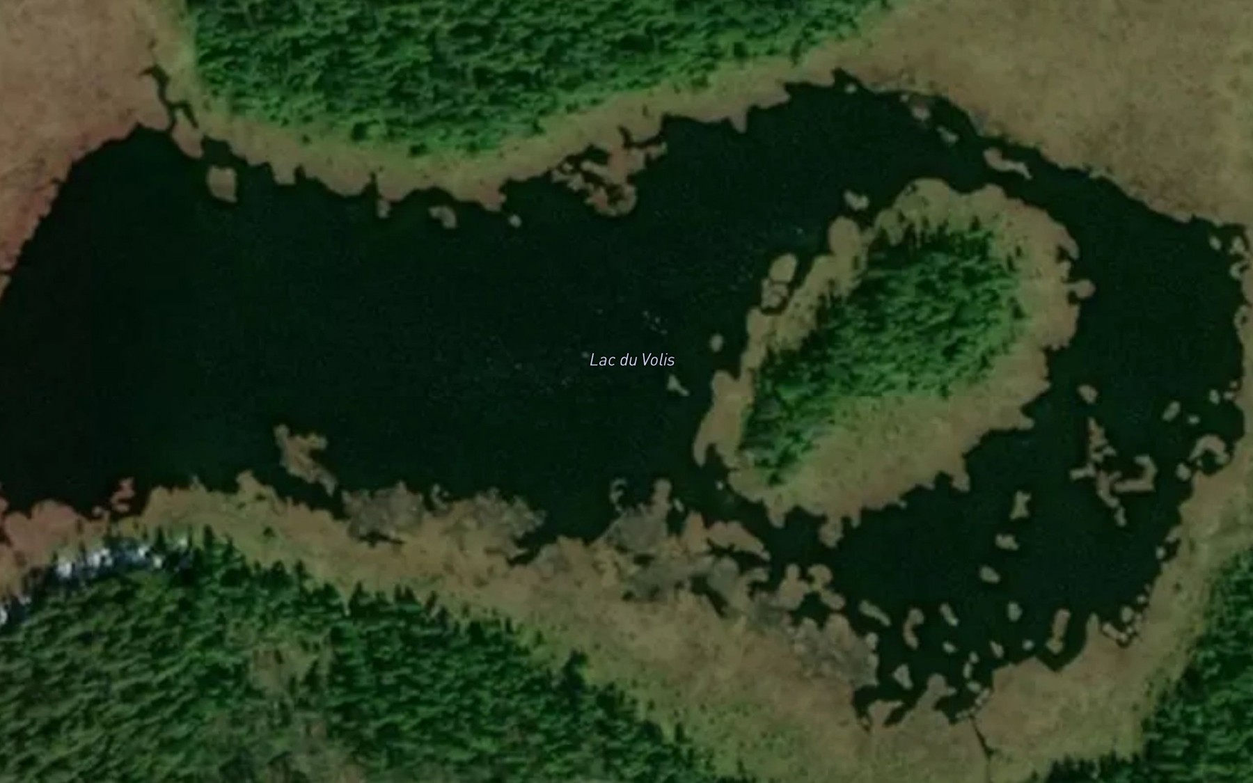Satellite map of the Lac du Volis
