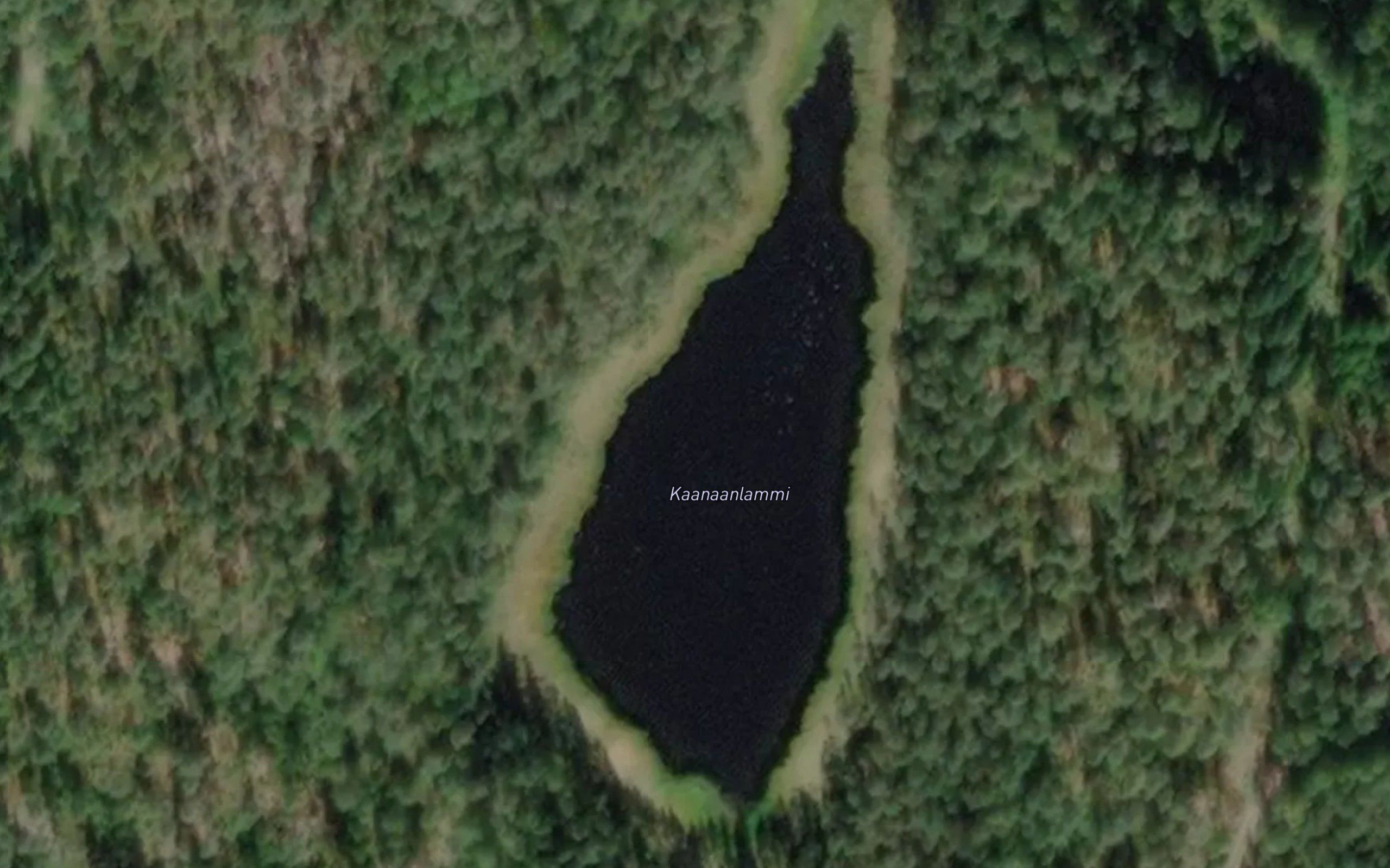 Kaanaanlammi