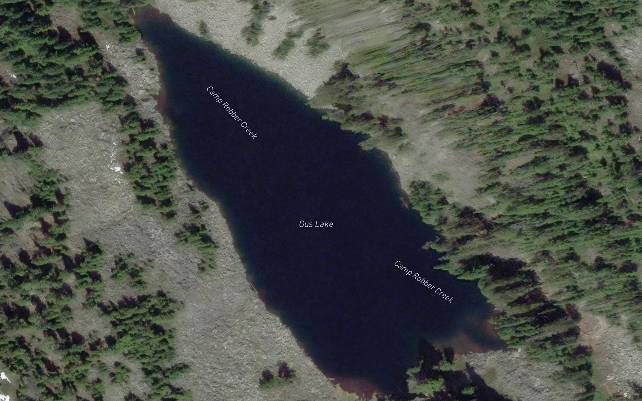 Gus Lake