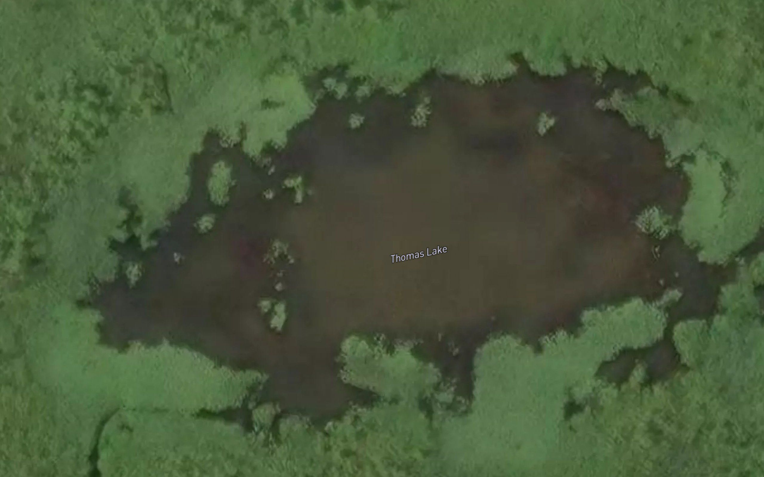 Thomas Lake