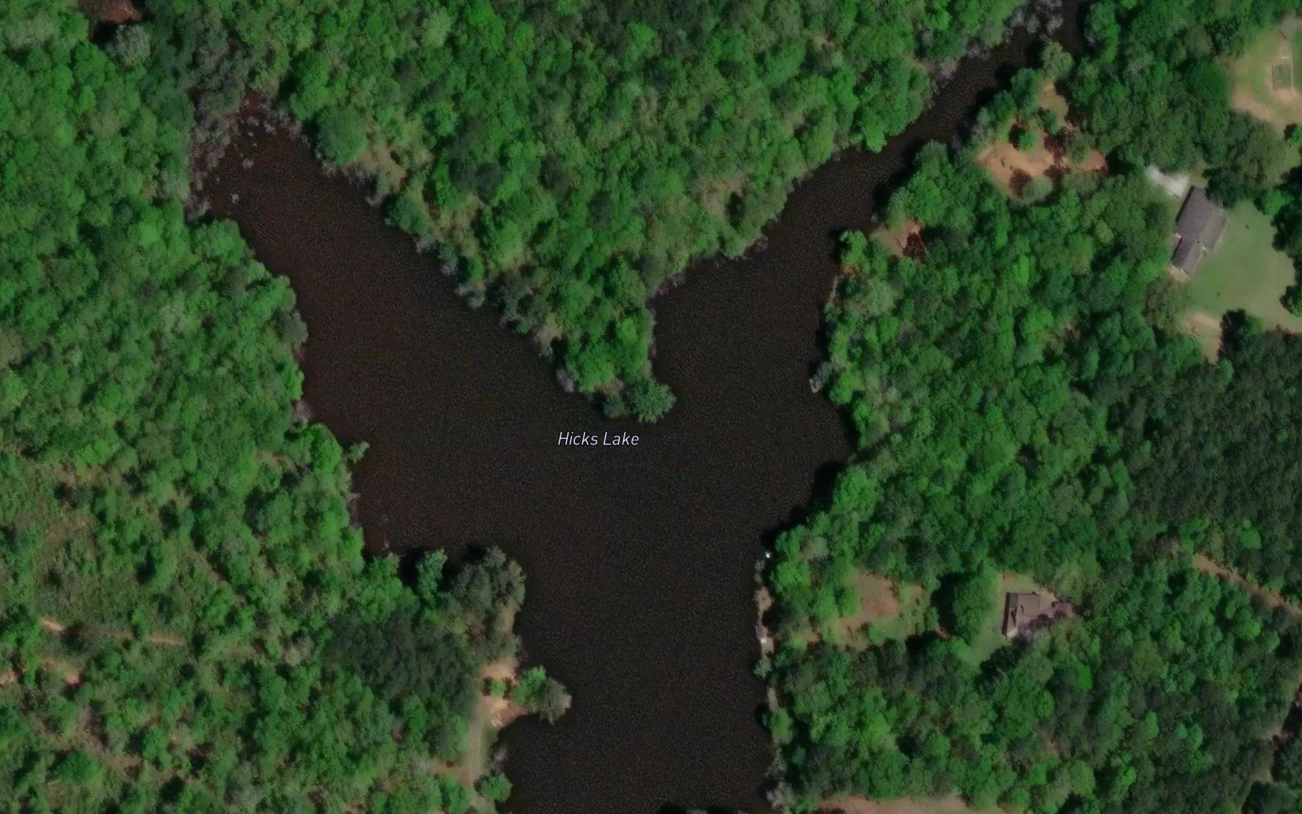 Hicks Lake