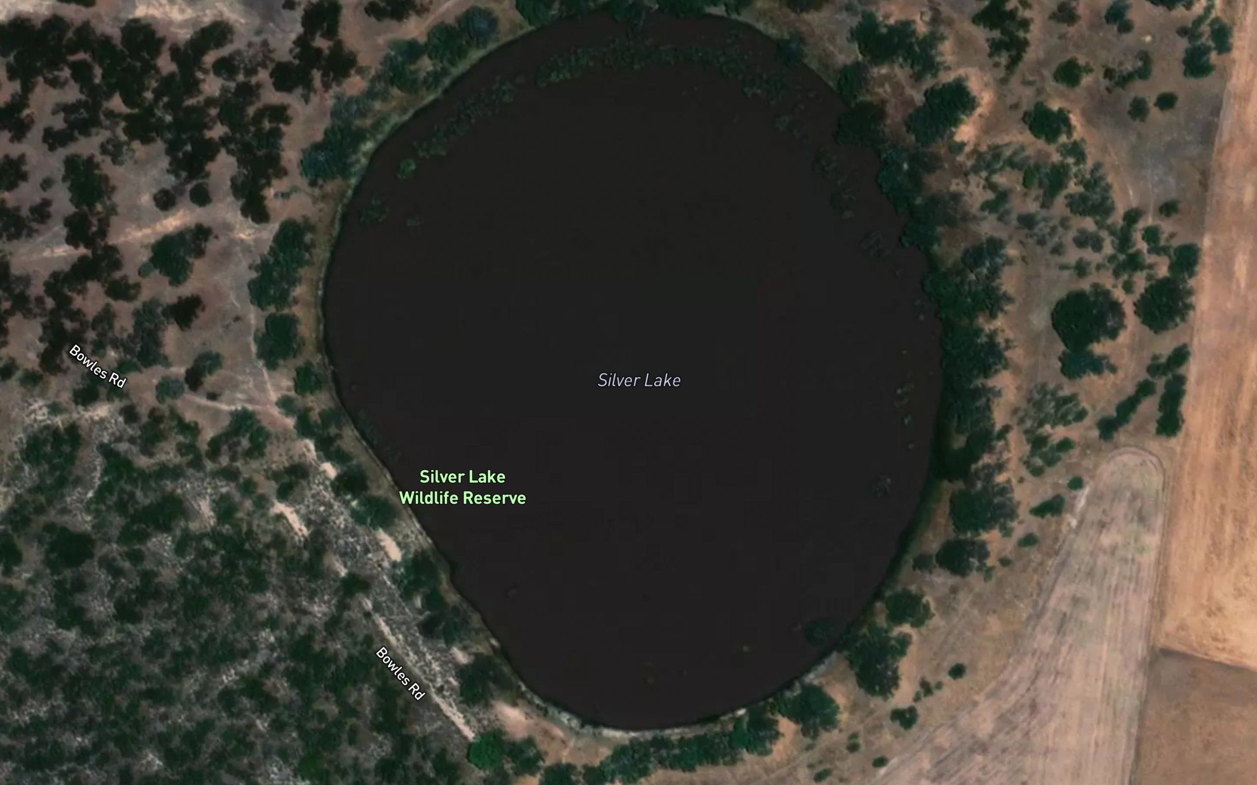 Silver Lake