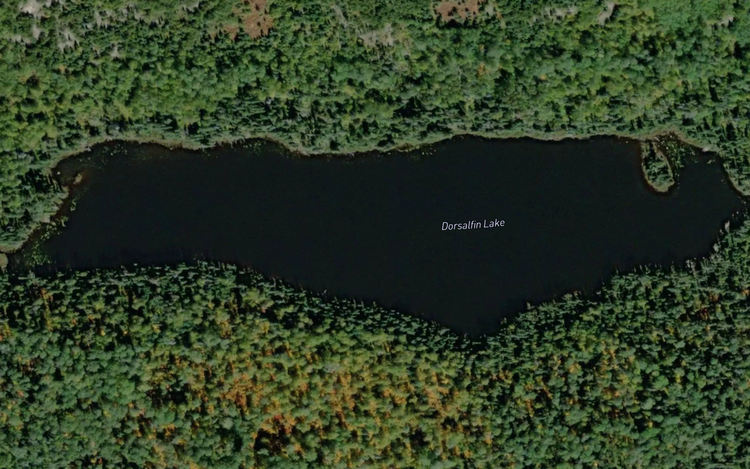 Dorsalfin Lake