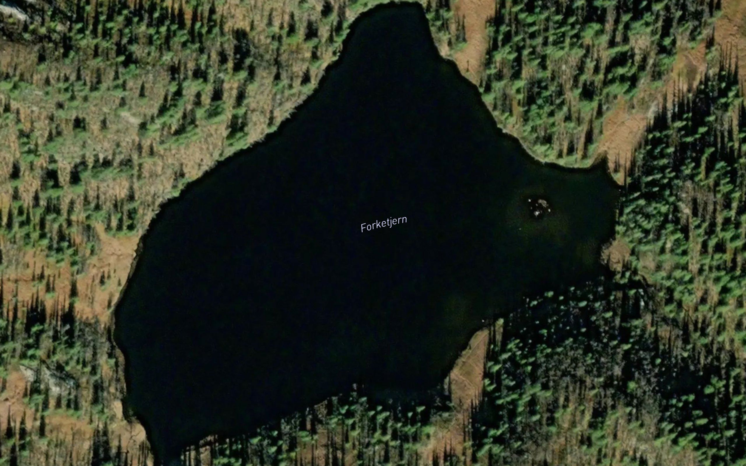Forkjetjernet