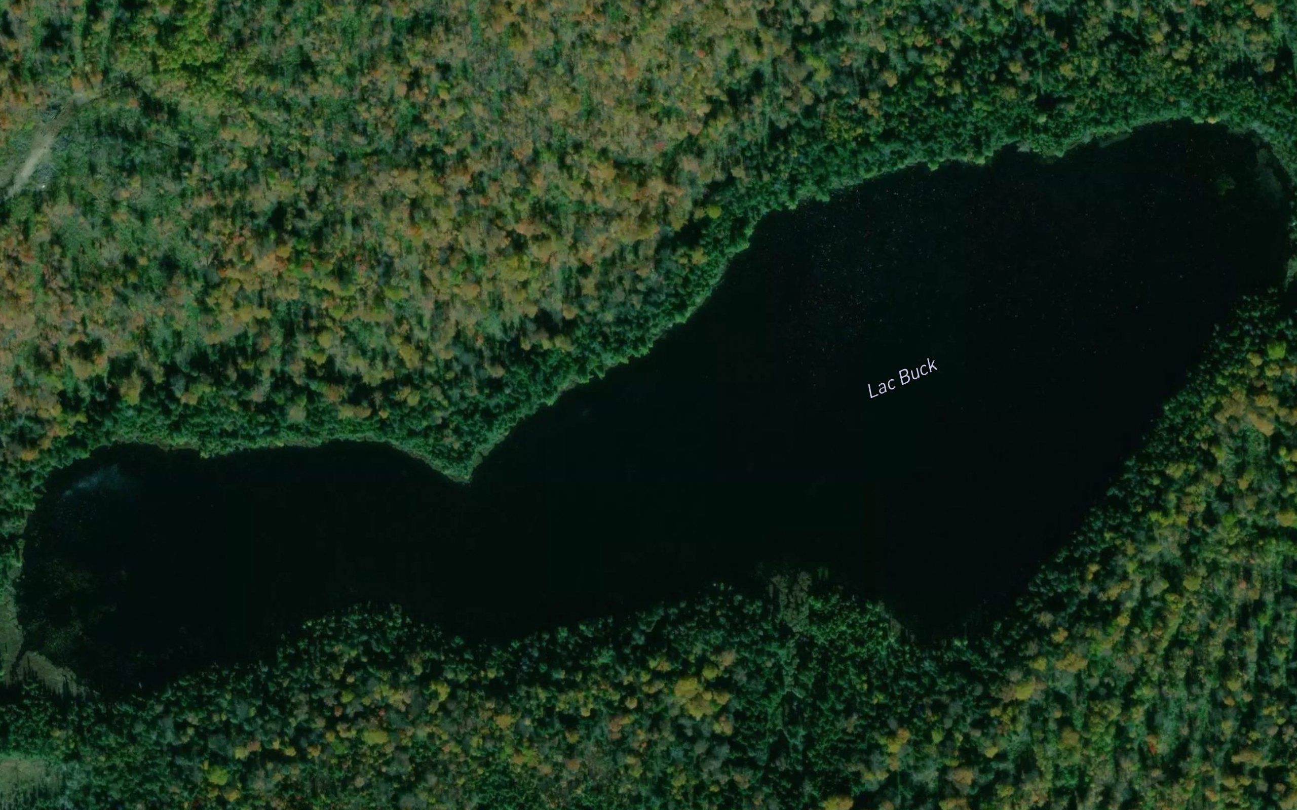 Lac Buck