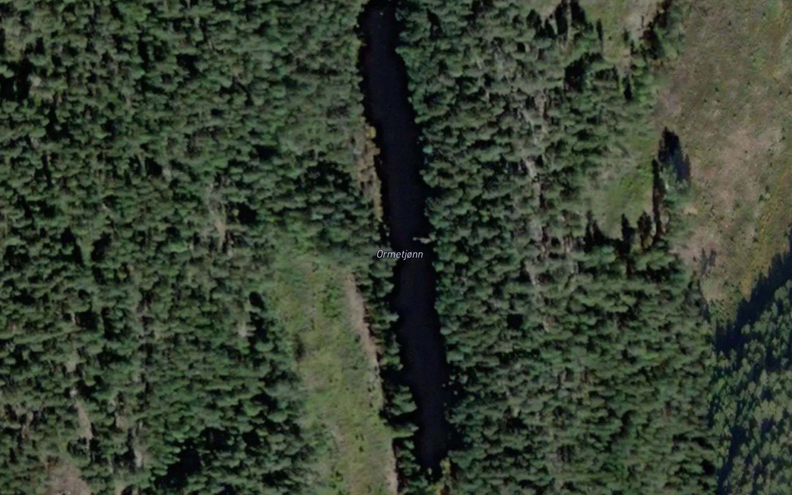 Ormetjorn