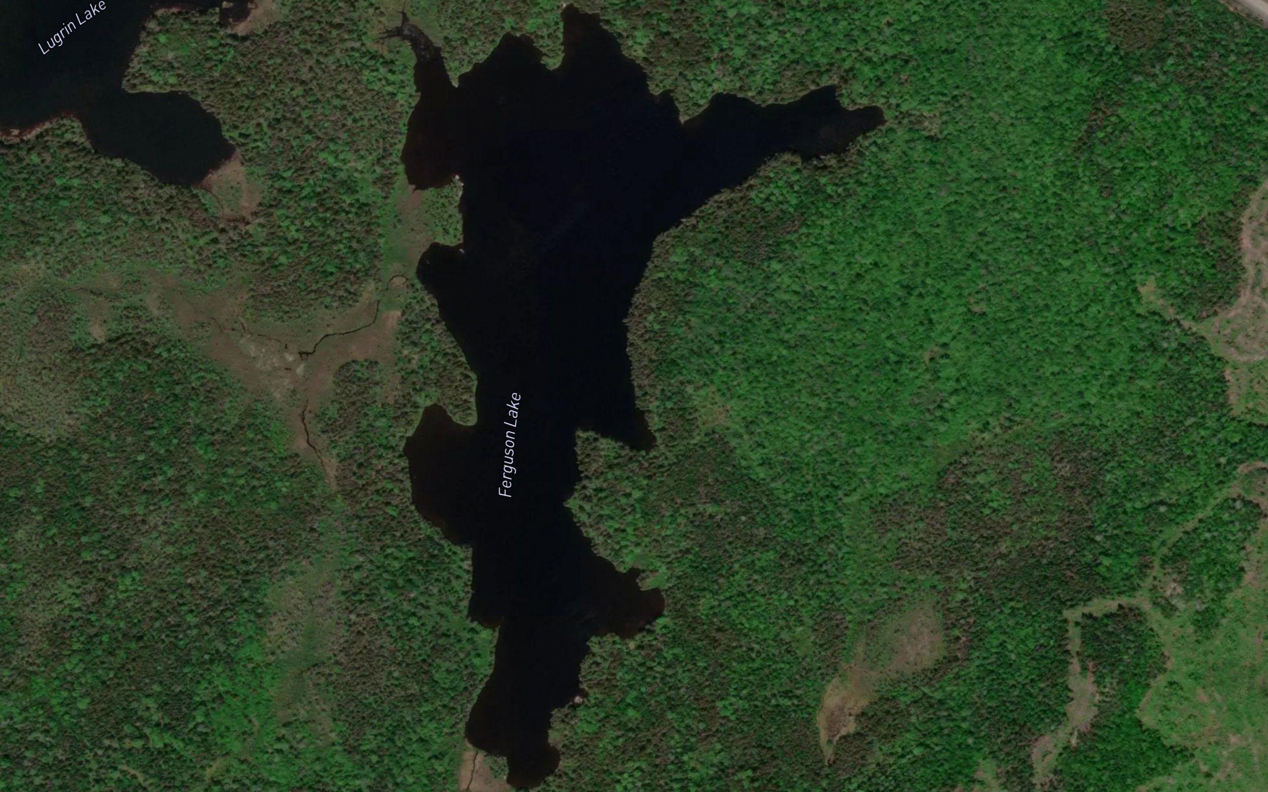 Ferguson Lake