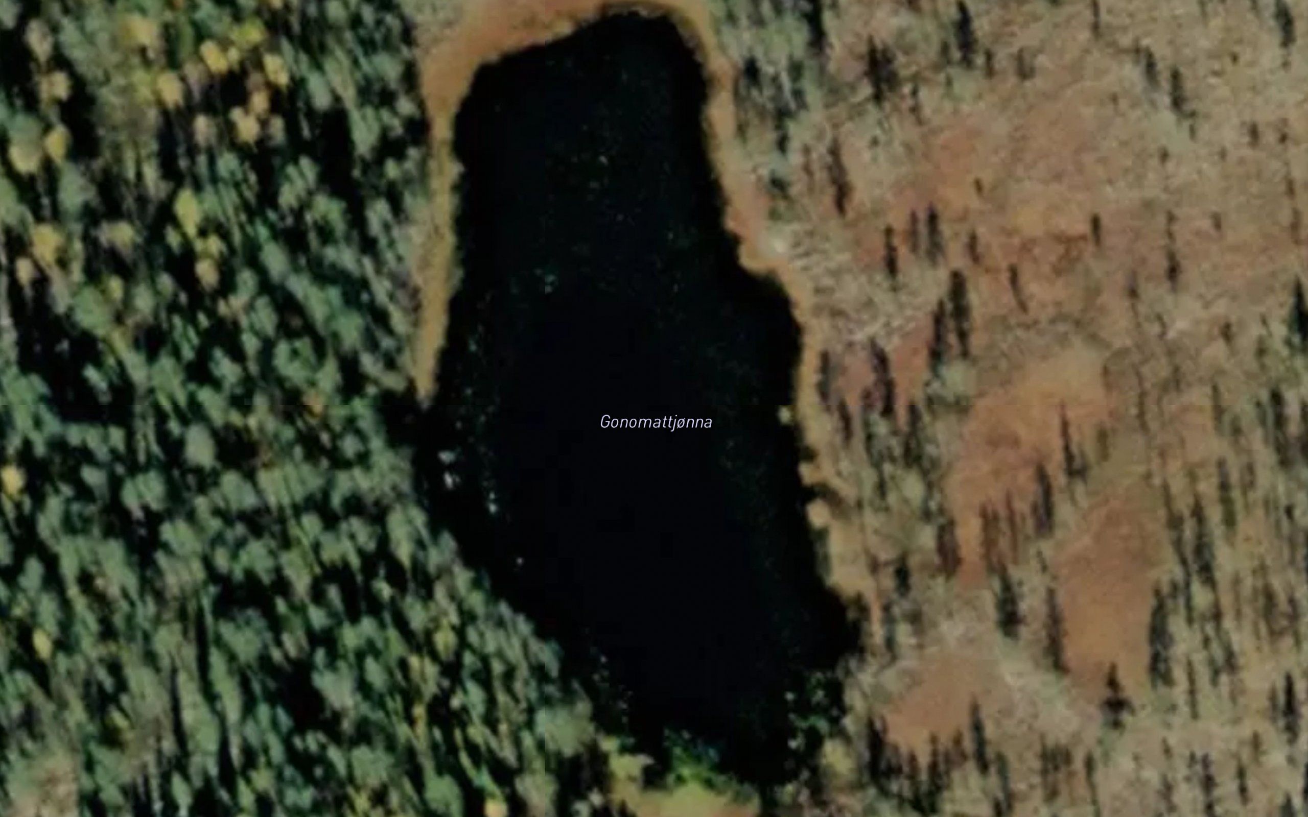 Gonomattjorna