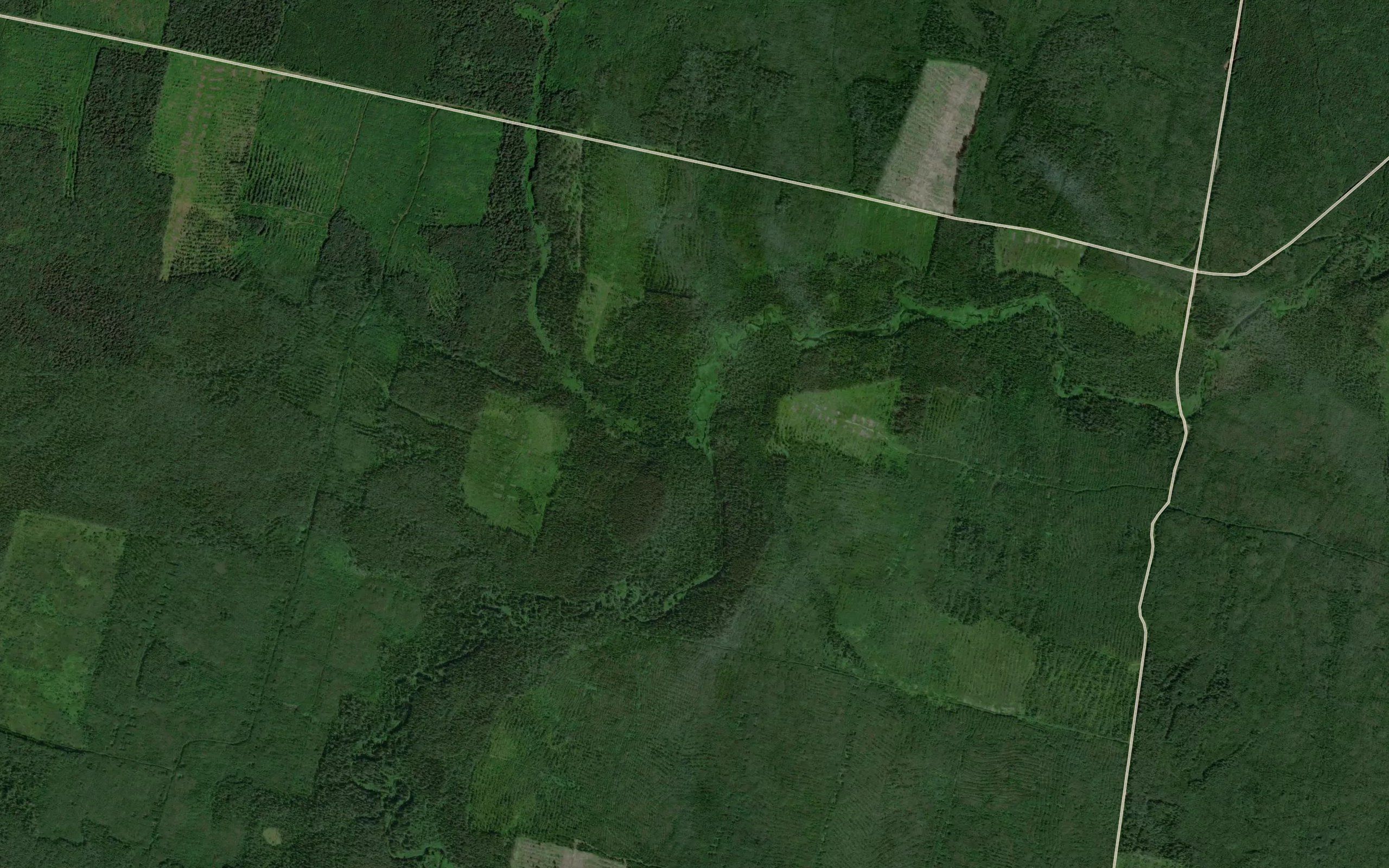 Tarakanovka