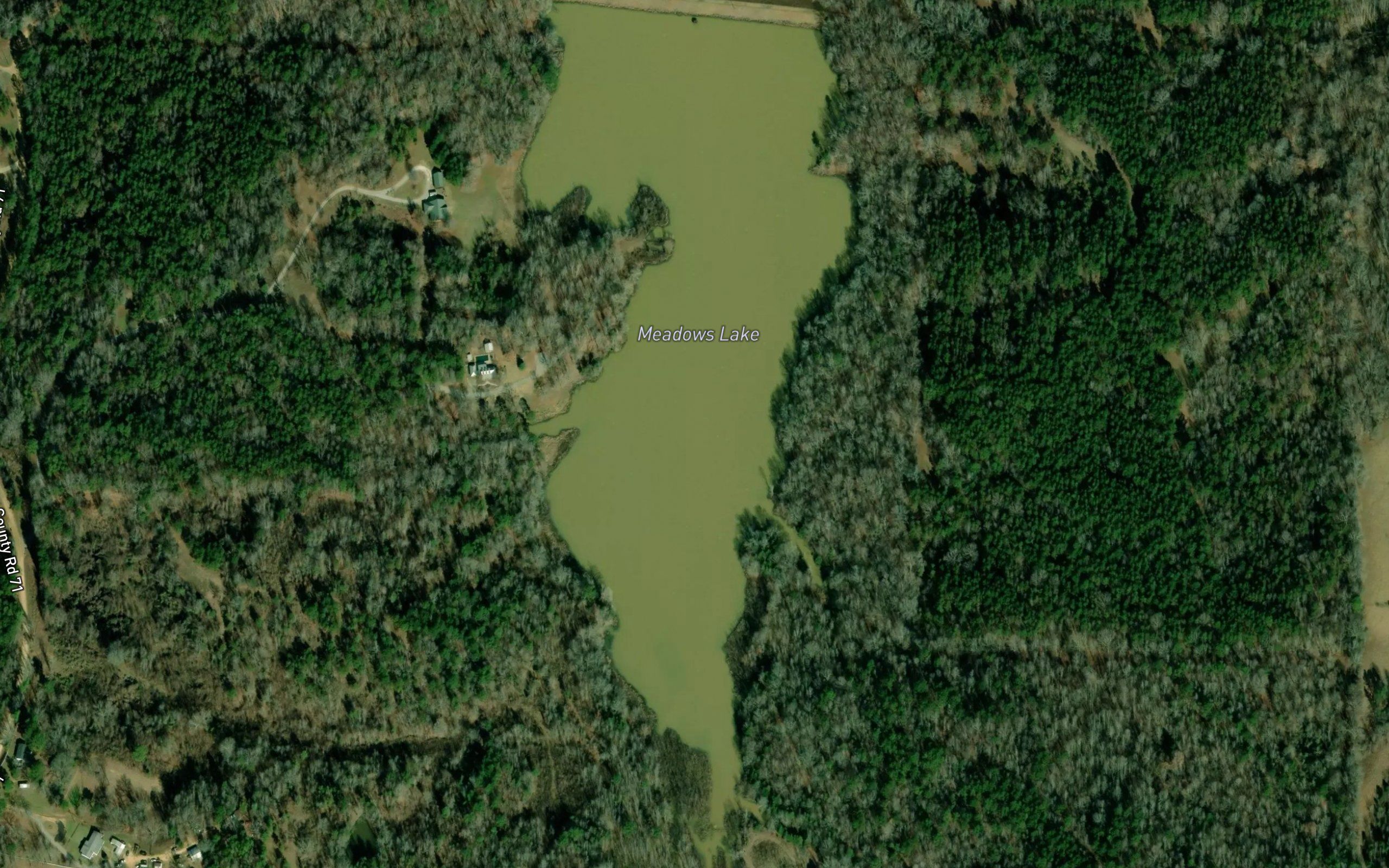 Meadows Lake