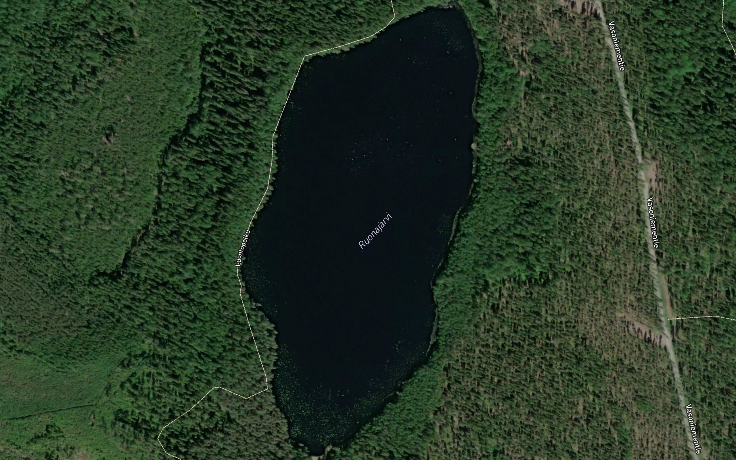 Ruonajarvi