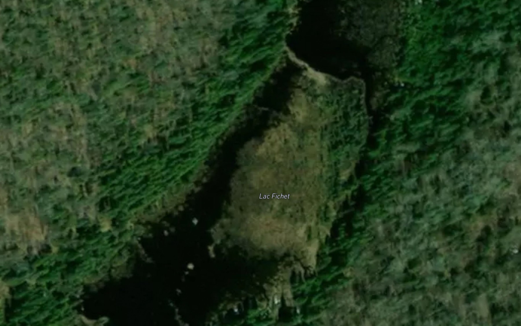 Satellite map of the Lac Fichet