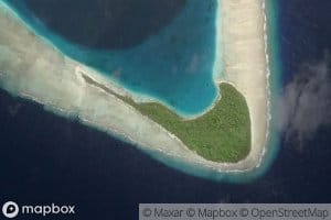 Coastal Mangrove Swamp