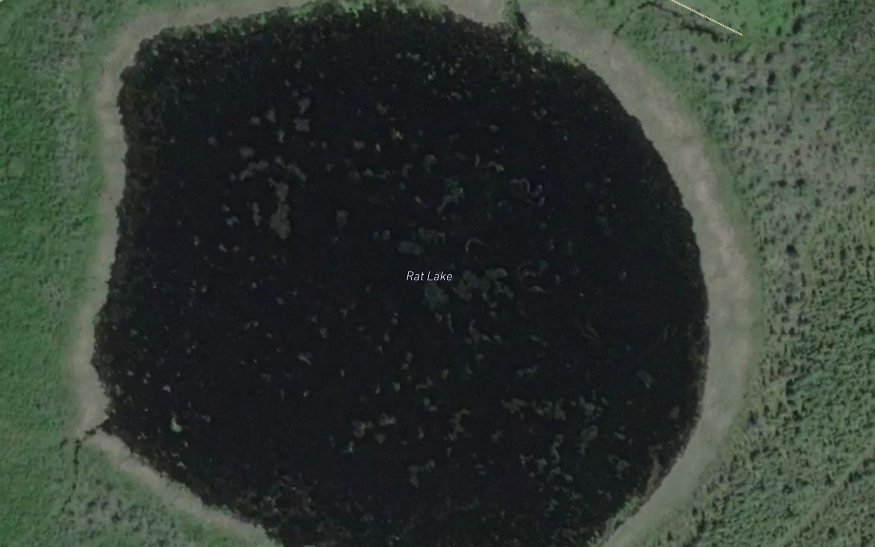 Satellite map of the Rat Lake