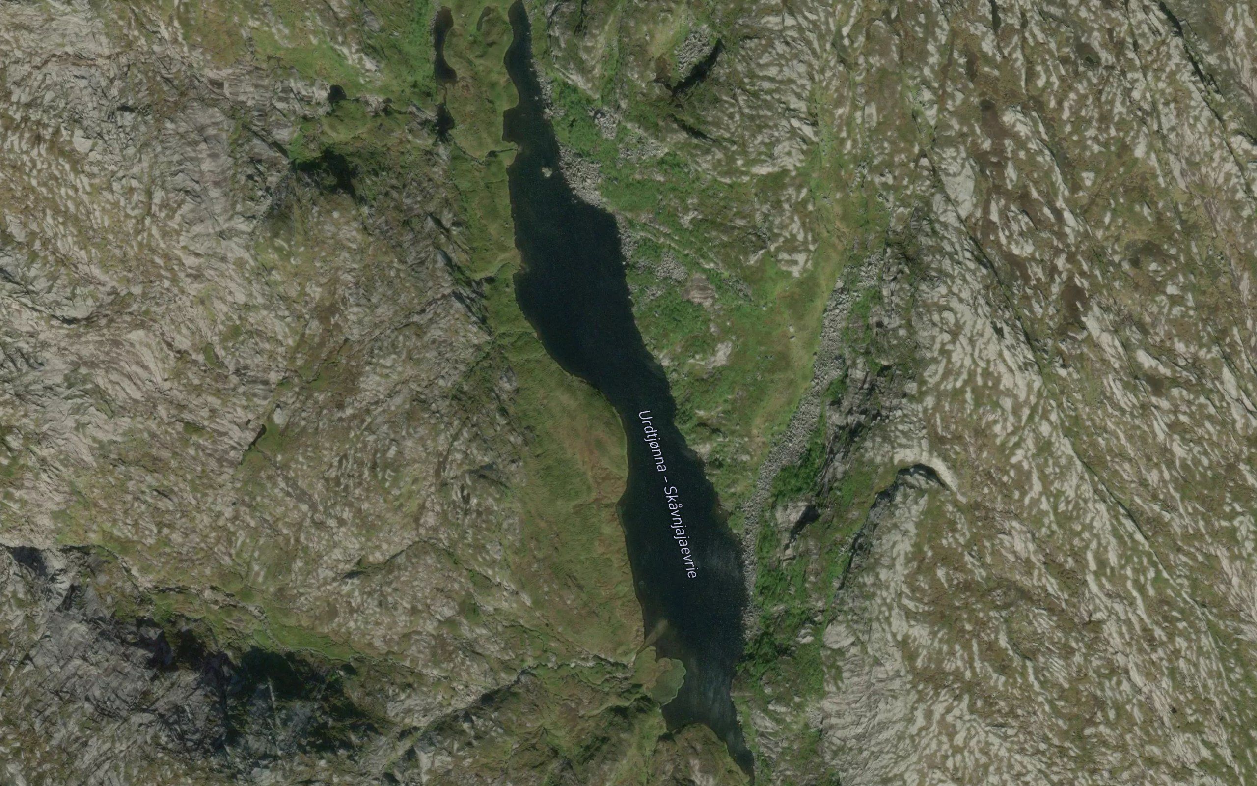 Urdtjorna
