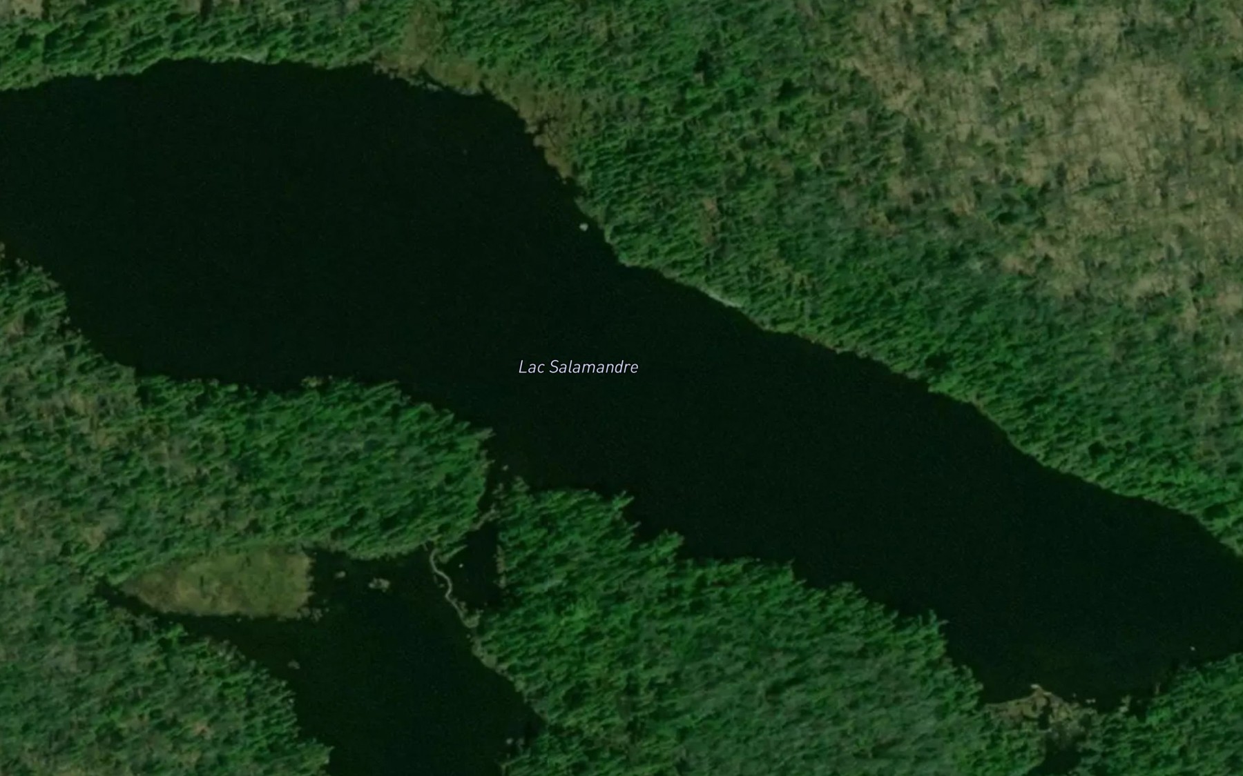 Satellite map of the Lac Salamandre