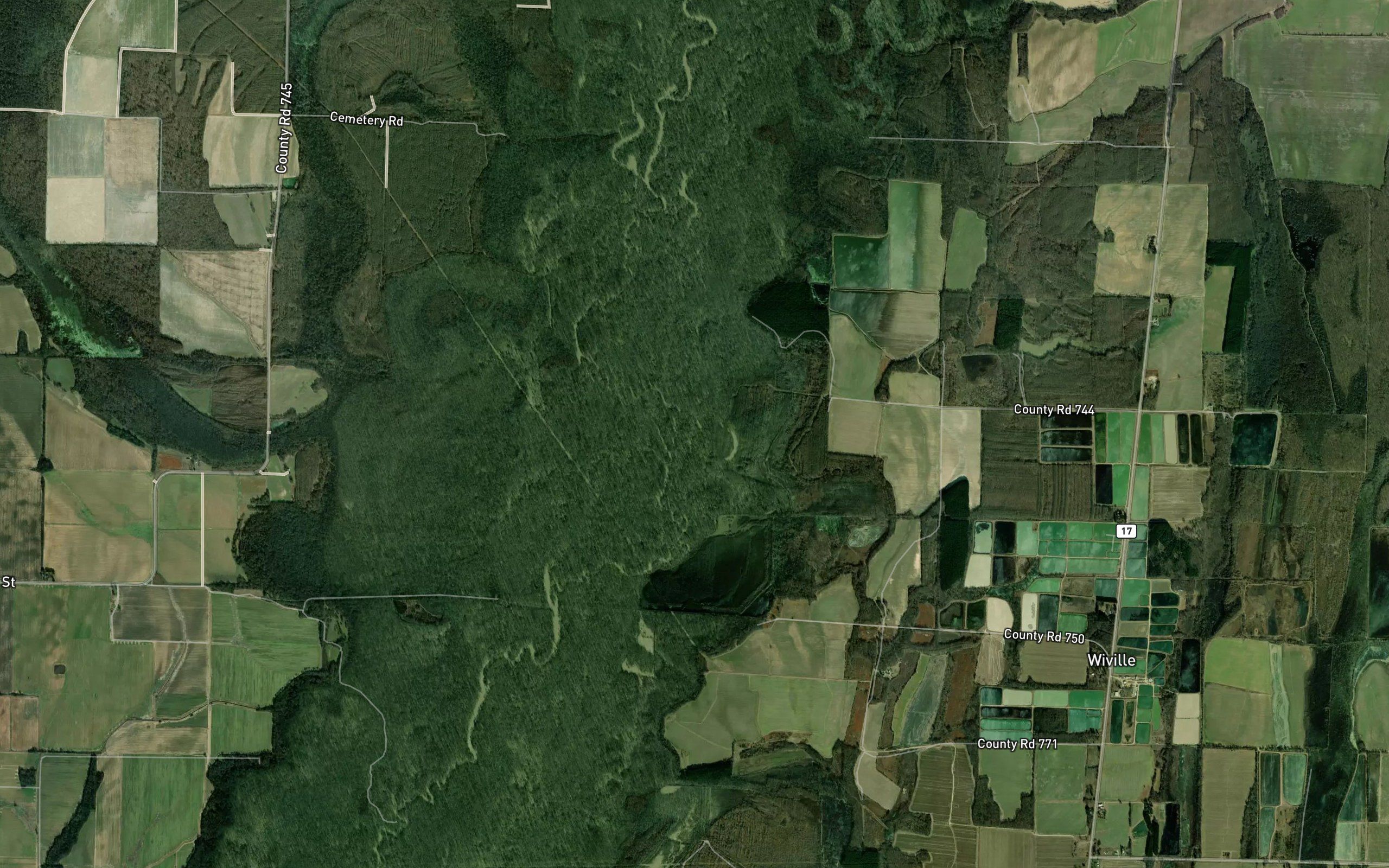 Beard Lake