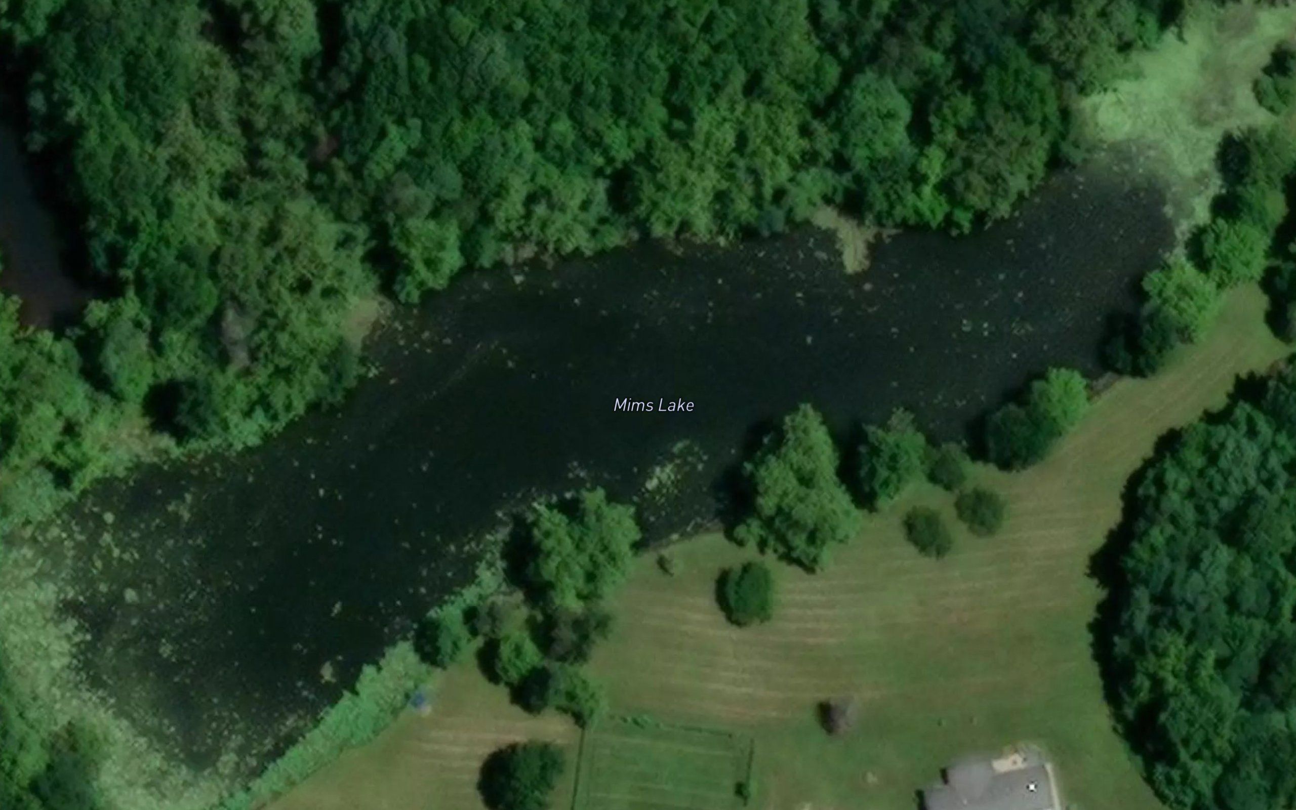 Mims Lake