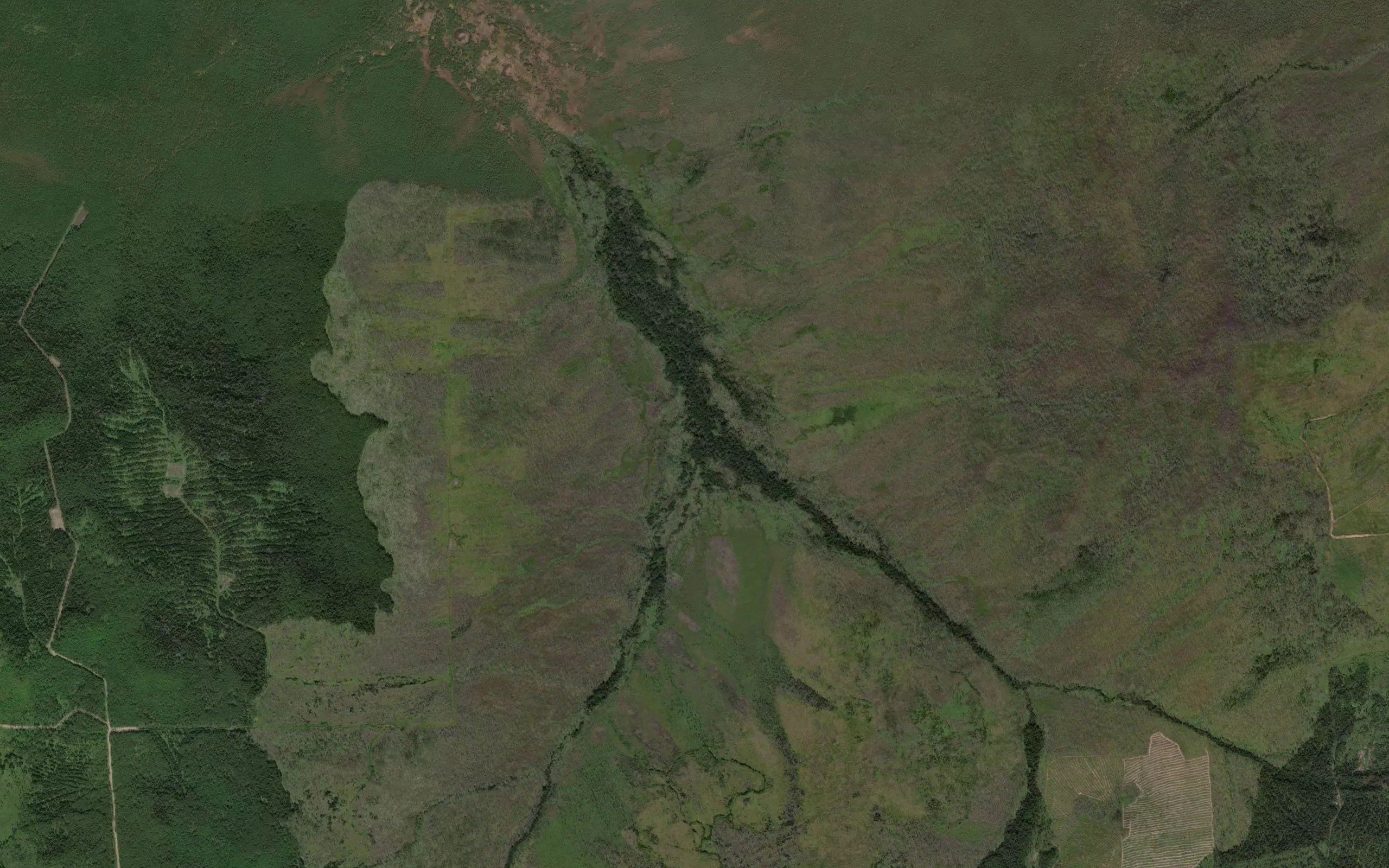 Tikhiy