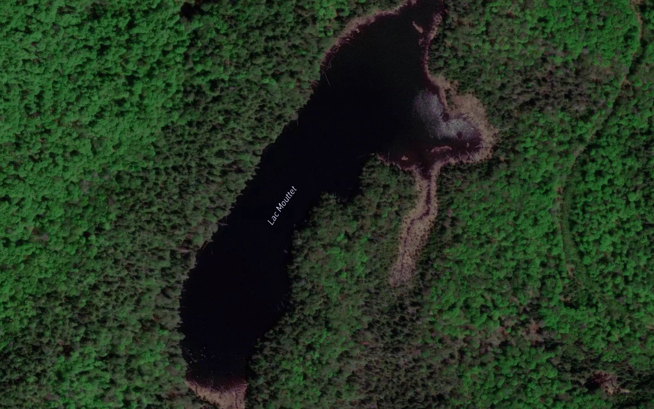 Lac Mouttet