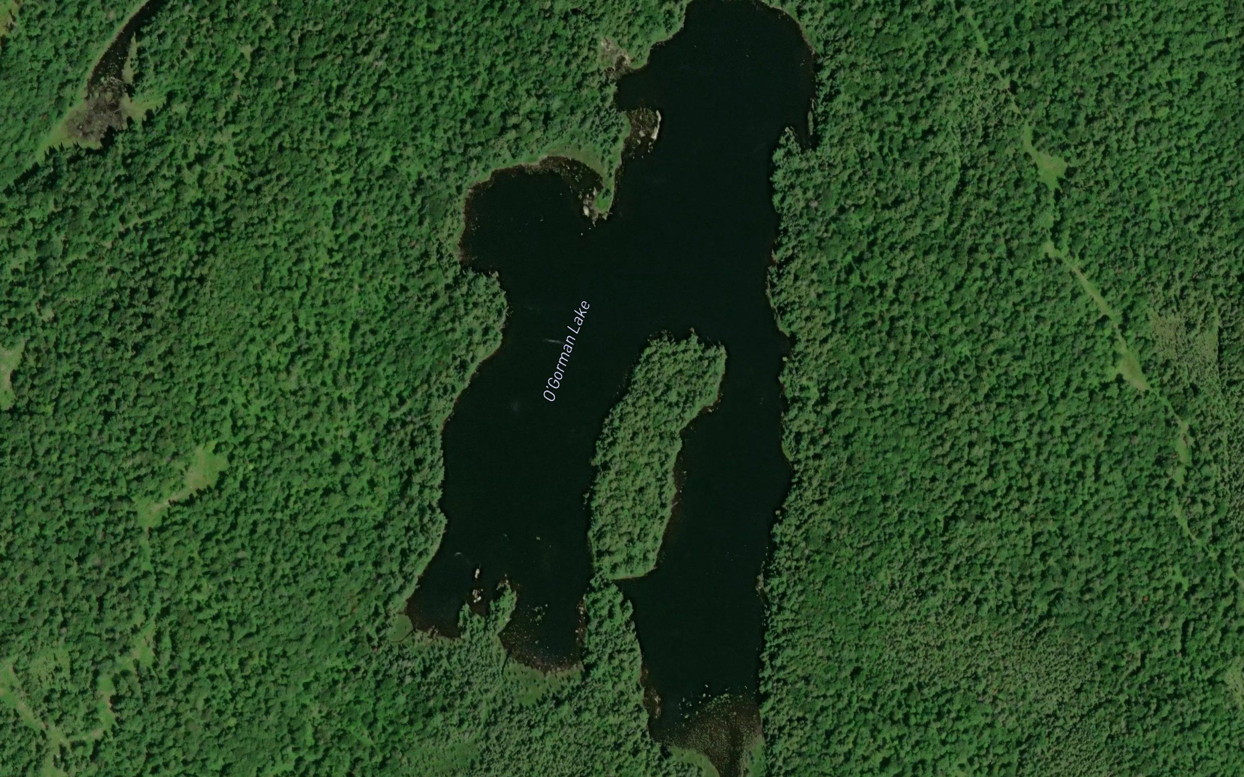 O'Gorman Lake