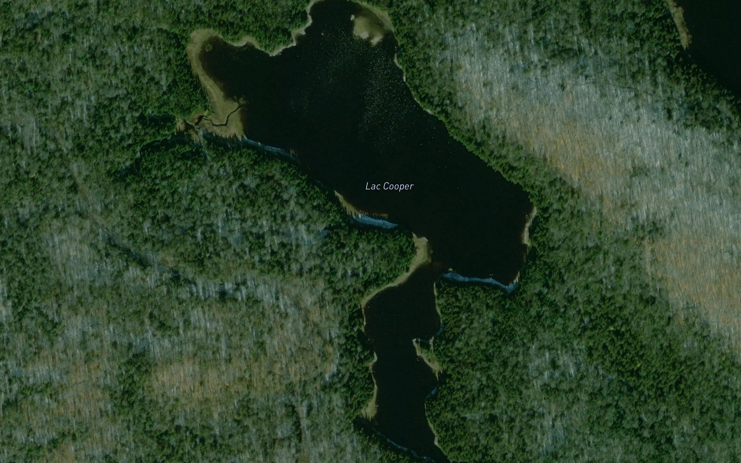 Lac Cooper