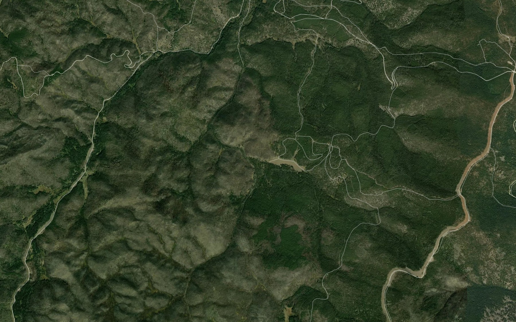 Satellite map of the East Fork Daly Creek