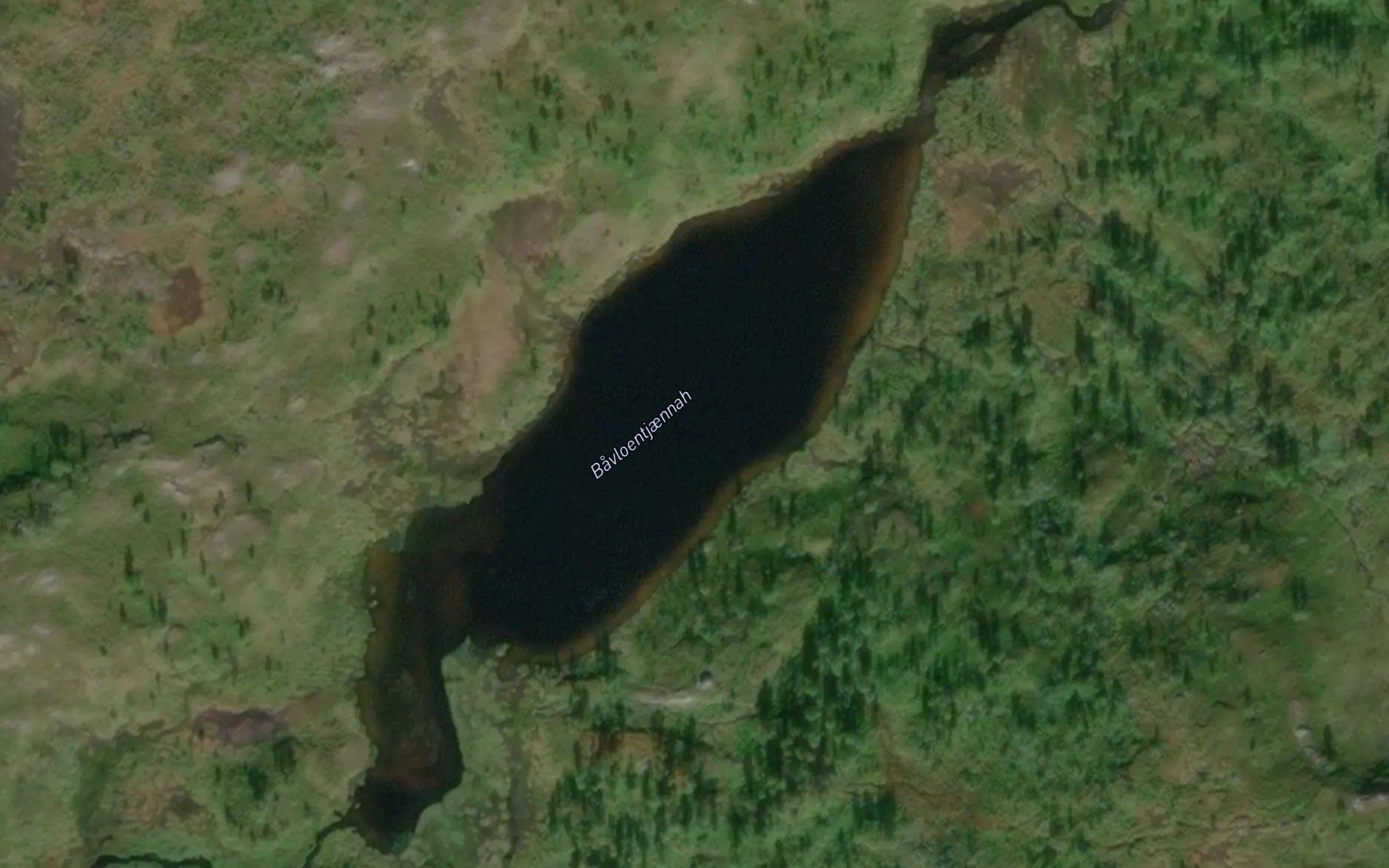 Bavloentjaennah