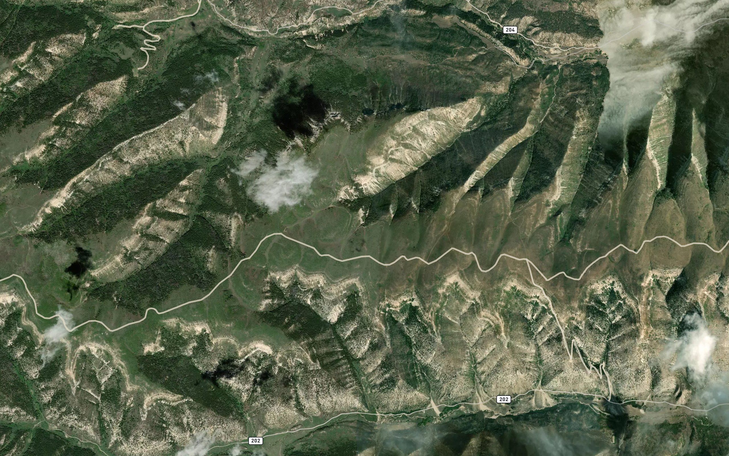 Rim Spring