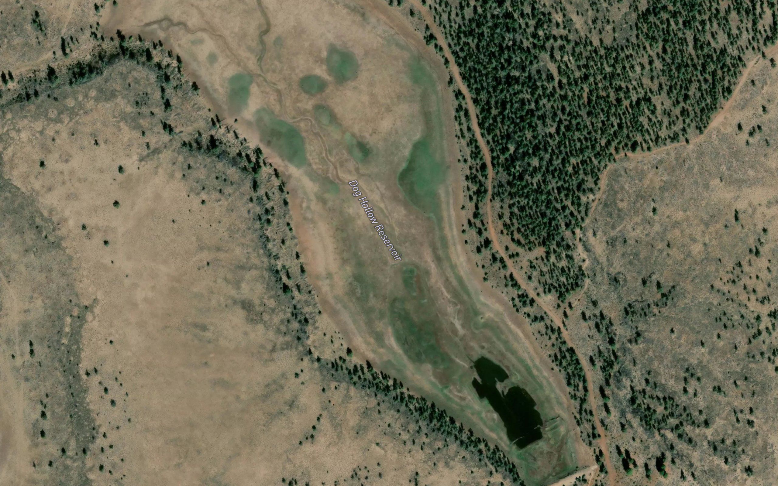 Dog Hollow Reservoir